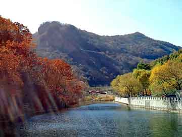 新澳天天开奖资料大全旅游团，泛目录权重